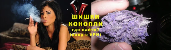 спиды Зеленокумск