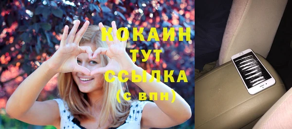 спиды Зеленокумск