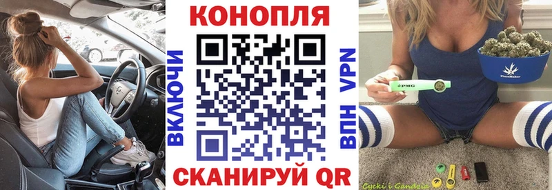 Купить где Родники Канабис конопля